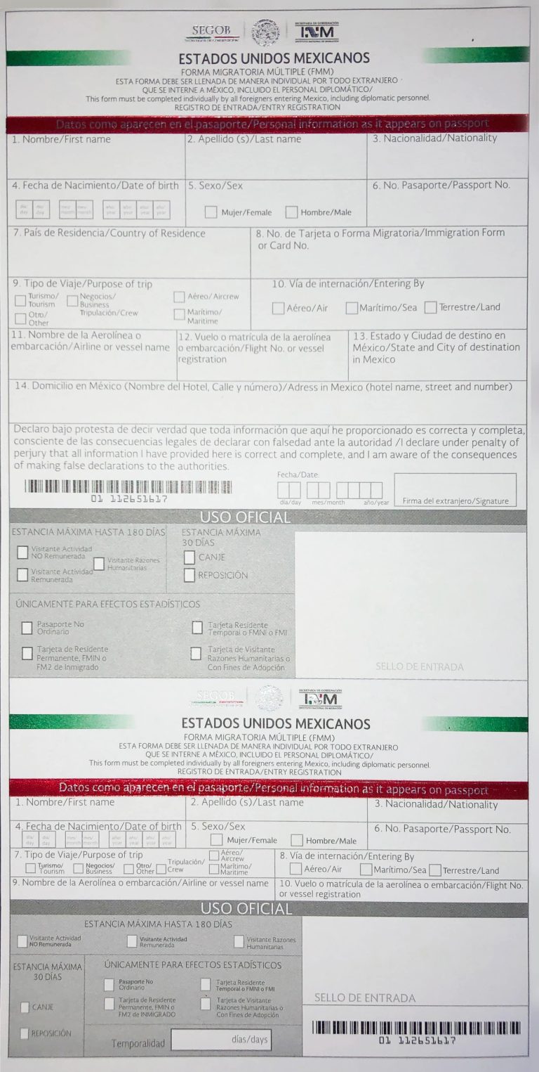 Mexican Customs Declaration Form SJD Los Cabos Airport   Mexican Customs Form 2019 Side 1 768x1525 